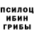 Галлюциногенные грибы GOLDEN TEACHER Hamit Karakuzu