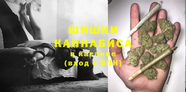 ALPHA PVP Нягань