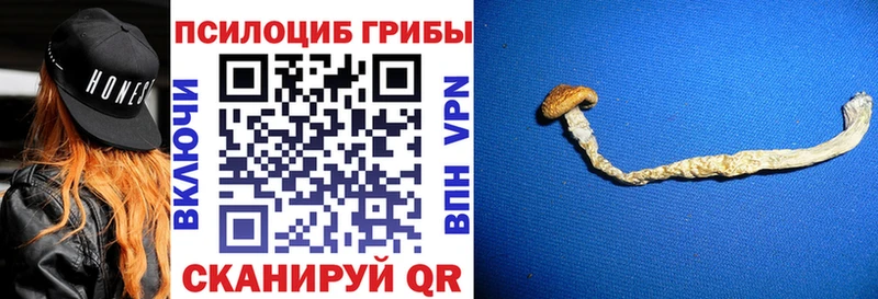 сколько стоит  Новая Ляля  Галлюциногенные грибы ЛСД 