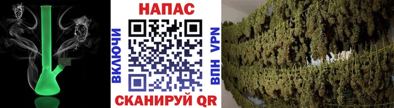 закладки  Новая Ляля  Бошки Шишки сатива 